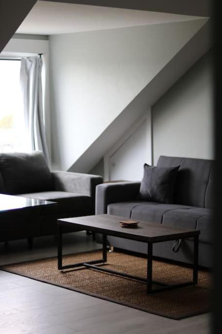 Unique Modern Luxury 2 Bedroom Apartment Rental Chapleau Ngoại thất bức ảnh